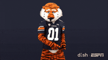 College Football No GIF by DISH