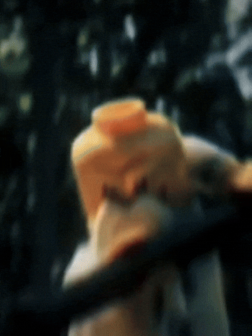 Ninjago Movie Wu GIF