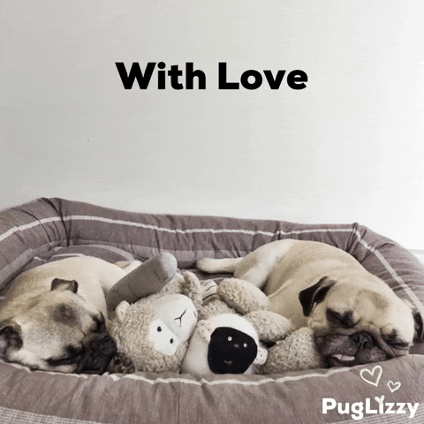 Sleepy With Love GIF
