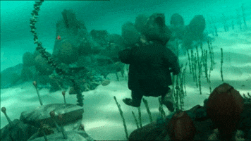 Clown Fish GIF