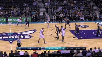 fazzettino  GIF