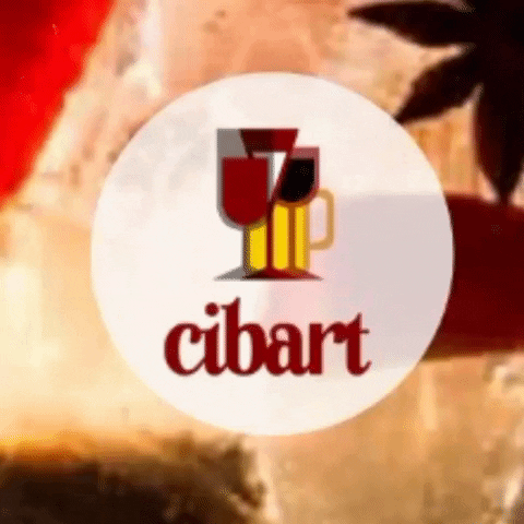 cibart srl GIF