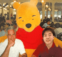 Winnie The Pooh Lucas GIF
