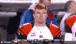 cincinnati bengals