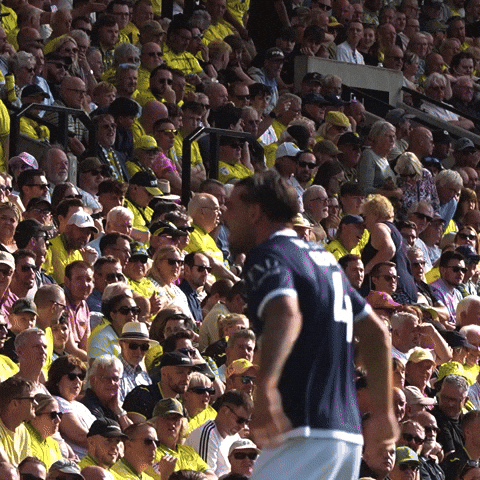 The Den Hug GIF by MillwallFC