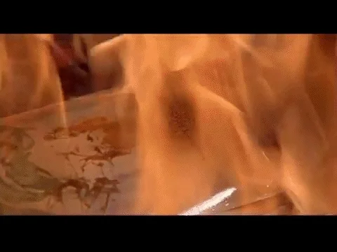 Fahrenheit 451 Movie GIF