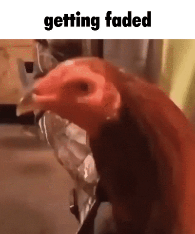 Barber GIF
