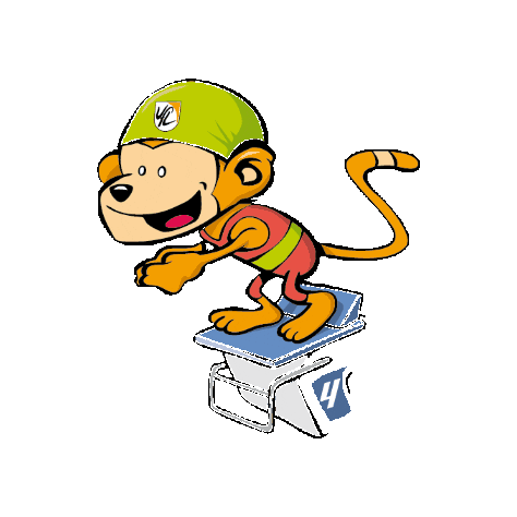 VfL Waiblingen Sticker