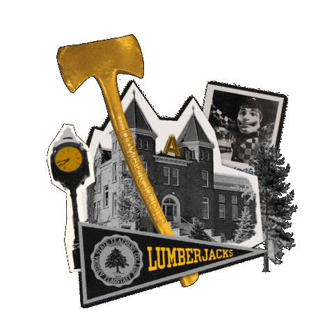 Mascot Arizona Sticker by NAUADV