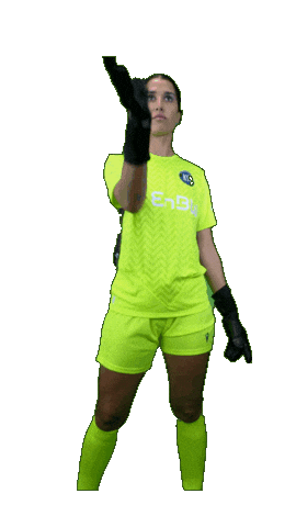 Ksc Sticker by enbw-ksc