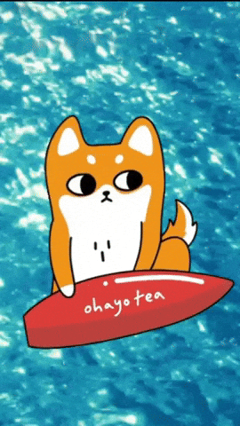 Ohayo Surfer GIF by OHAYOTEA