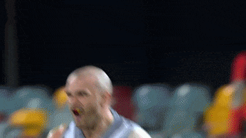 Football Celebration GIF by Port Adelaide FC