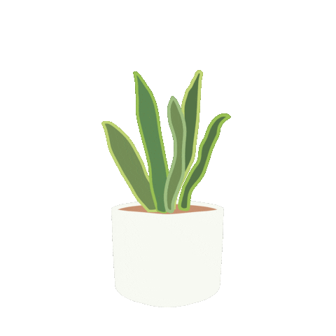 Plant Sticker