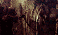 the lord of the rings sam GIF