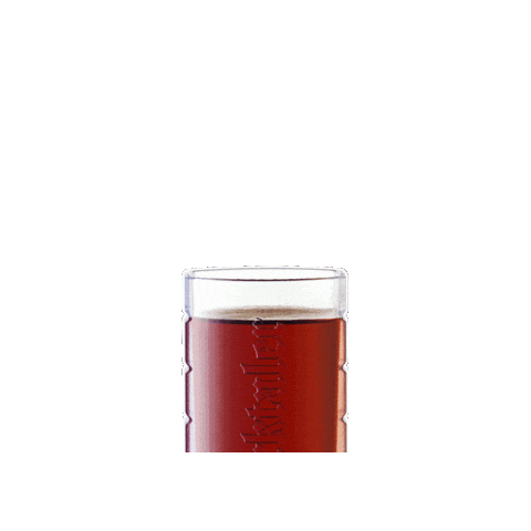 Dom Berg Sticker by Gurktaler