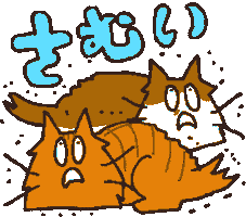 Cat Sticker