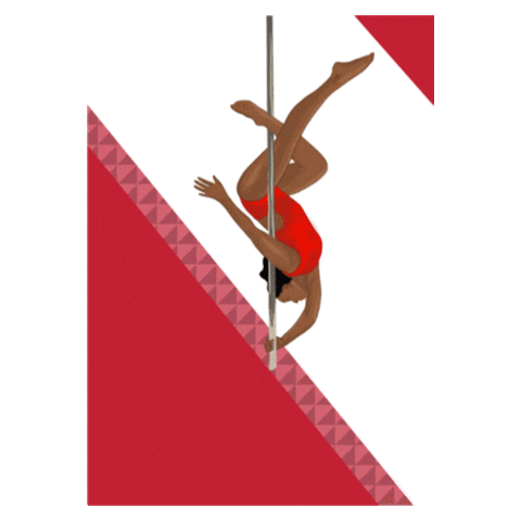 Spin City Pole Sticker by Spin City Aerial Fitness