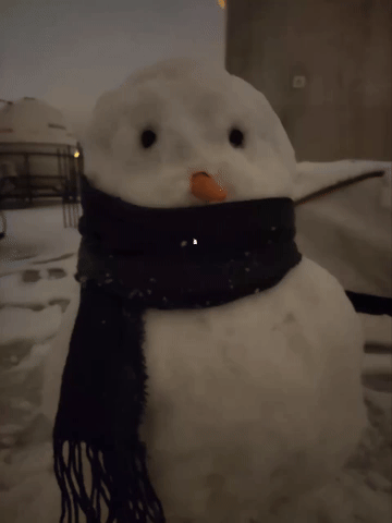 Snowman GIF