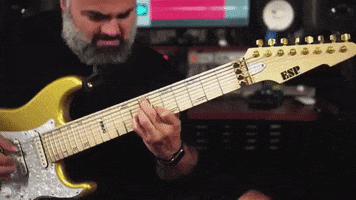 Mestis GIF