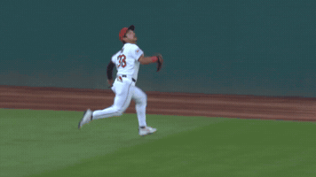 Sport Baseball GIF by MLB