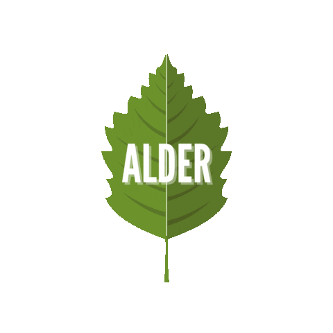 Sticker by Koetter Woodworking