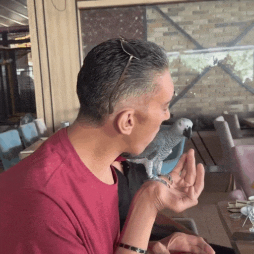 World Record Wow GIF