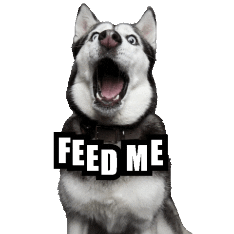 Feedme Sticker