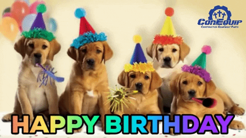 Happy Birthday Animal GIFs