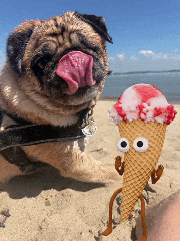 Ice Pug GIF