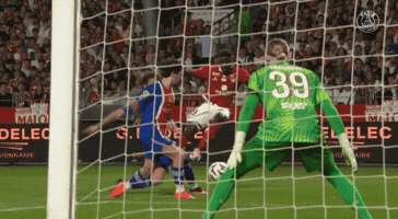 Paris Saint-Germain Psg GIF
