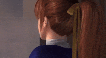 Dead Or Alive What GIF