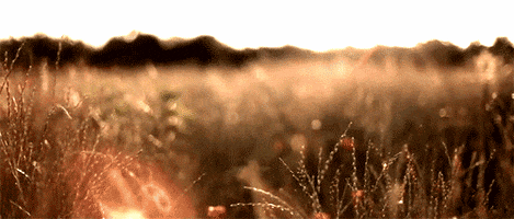 Art Design Sunshine GIF Art Design Sunshine GIF