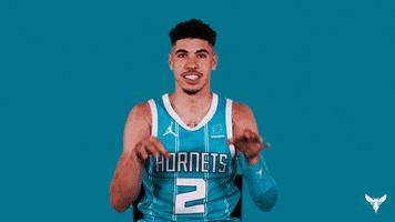 Lamelo Ball Thumbs Down GIF by Charlotte Hornets