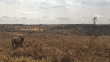 Satan Bible Verse GIF