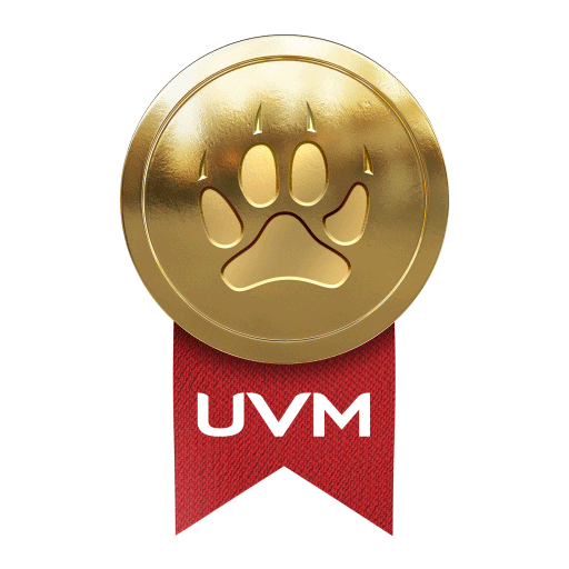 Universidad del Valle de México Sticker