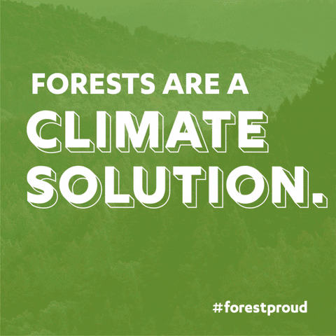 Climate Change Forest GIF by #forestproud
