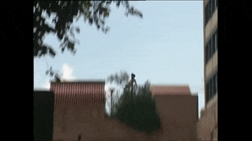 Curso GIF