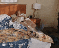 schitts creek comedy GIF by CBC
