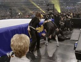 stephanie mcmahon wrestling GIF by WWE
