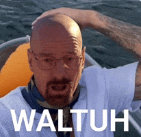 Breaking Bad Shock GIF
