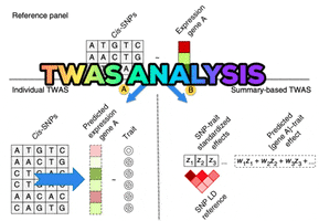 Twas Analysis GIF