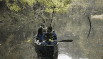 GIF by Creighton University