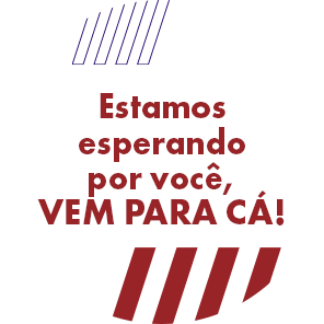 Fiat Sticker by Grupo DRSUL