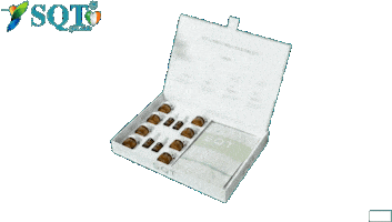 Rangertrooper Sticker by Sqtire Land