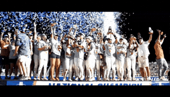 Softball GIF by Texas Longhorns