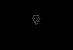 valvito.official GIF
