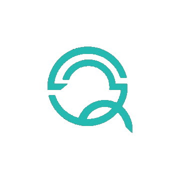 Qinay QCS Sticker