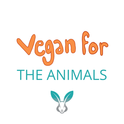 vKind App Sticker