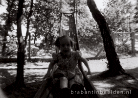 Slide Playground GIF by Brabant in Beelden