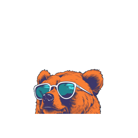 Bear Home Inspection LLC Sticker